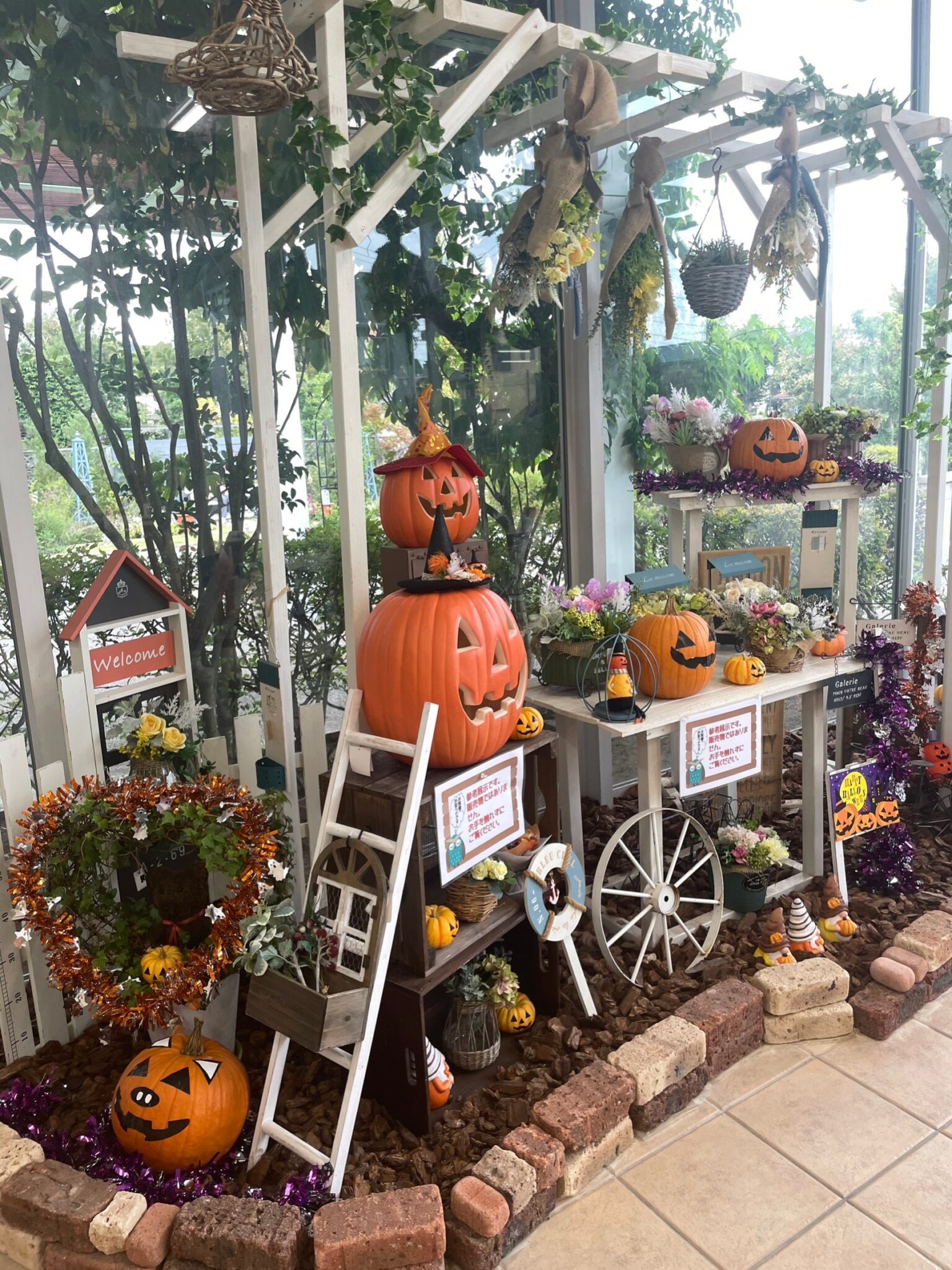 ハロウィンDisplay 伊丹市立みどりのプラザ